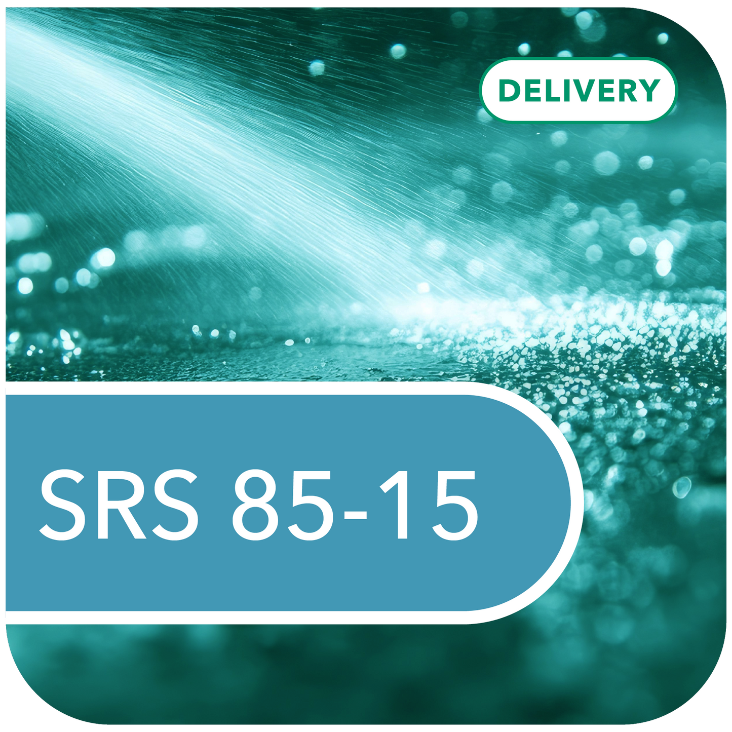 SRS 85-15 (DELIVERED)